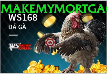 Trường Đấu Đá Gà Chuyên Nghiệp