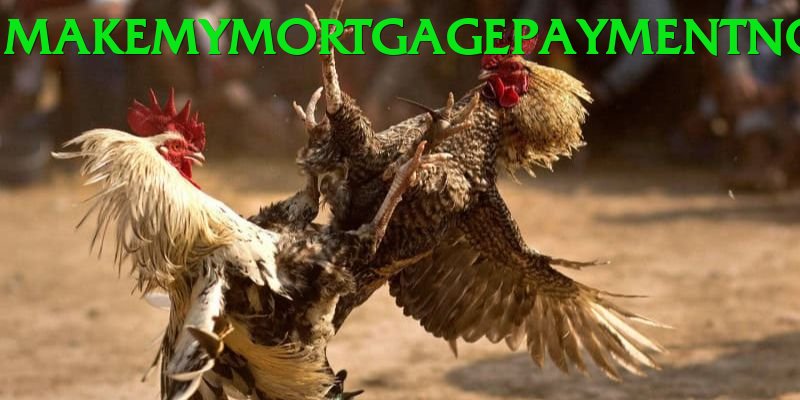 Cách Đọc Kèo Đá Gà